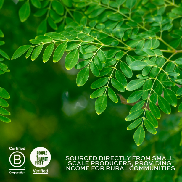 Moringa Superfood Powder 275g