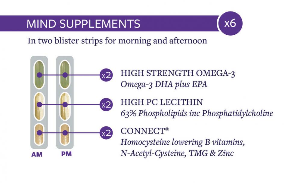 Brain Food Upgrade 28 Day Supply