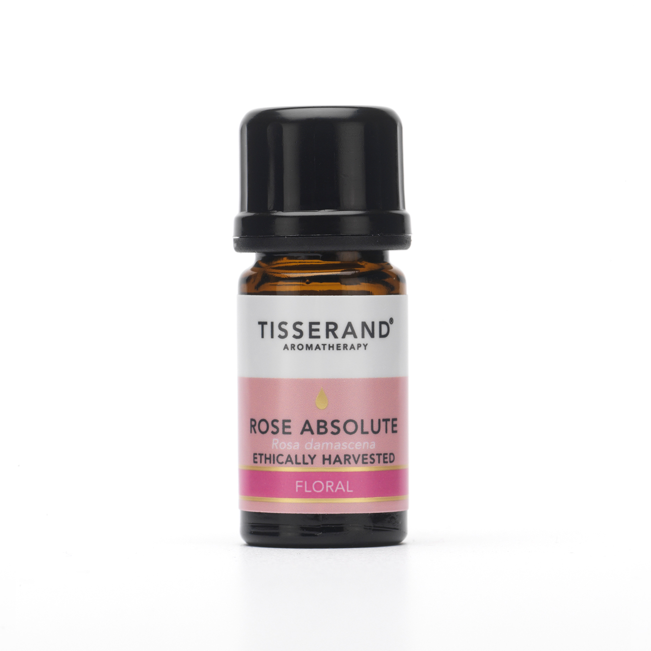 Rose Absolute Ethically Harvested Essential Oil 2ml