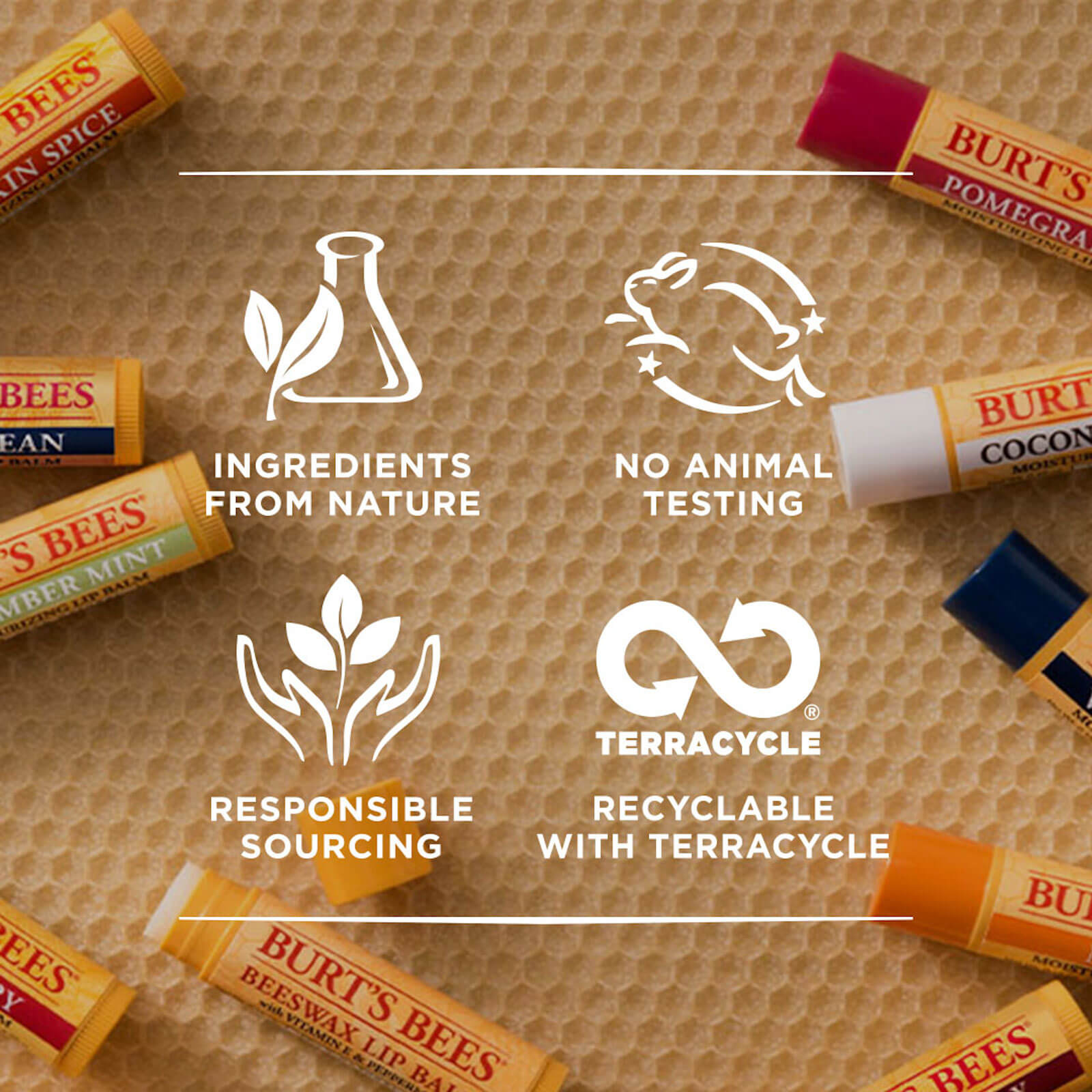 Beeswax & Vanilla Bean Lip Balm 2 Pack