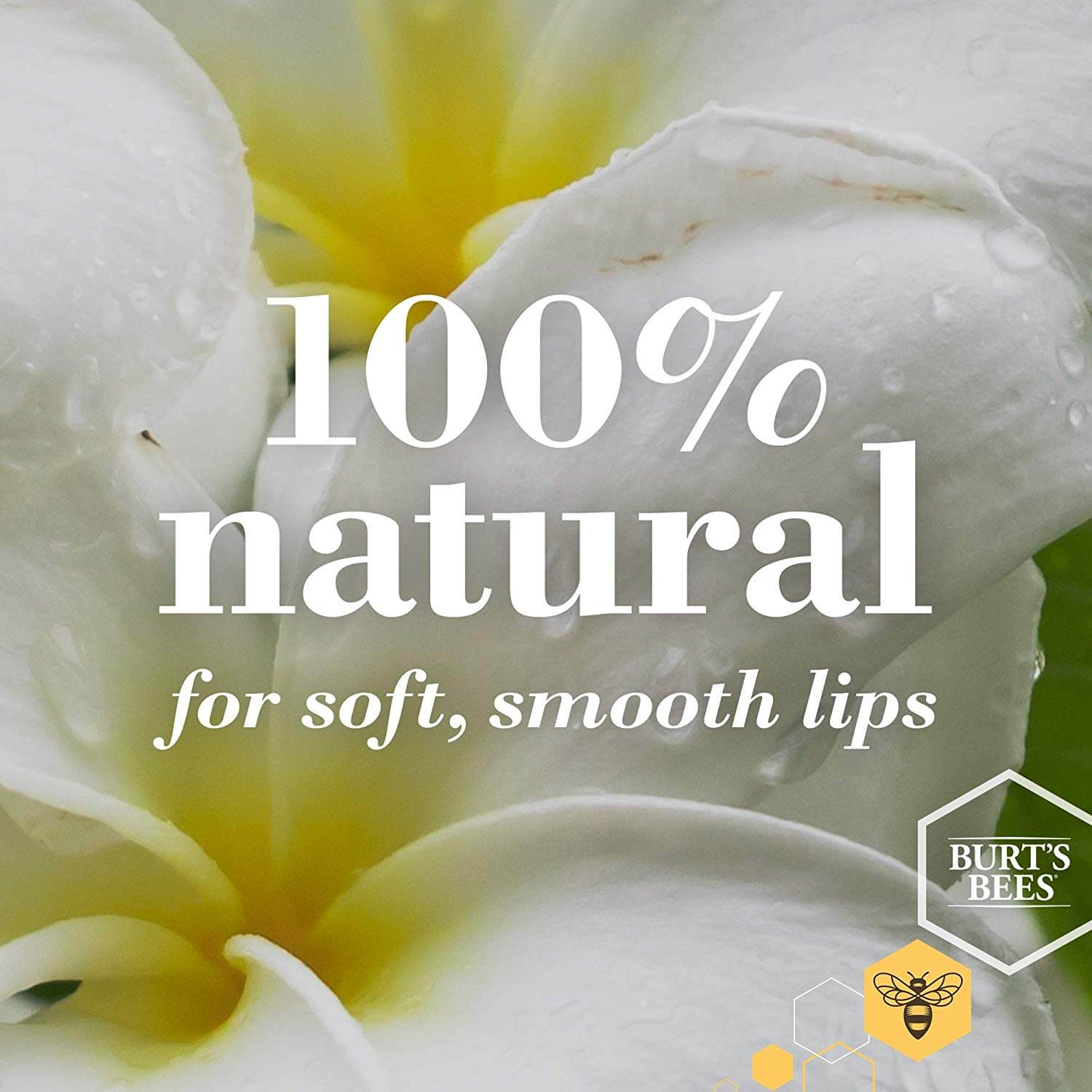 Lavender & Honey Lip Butter 11.3g