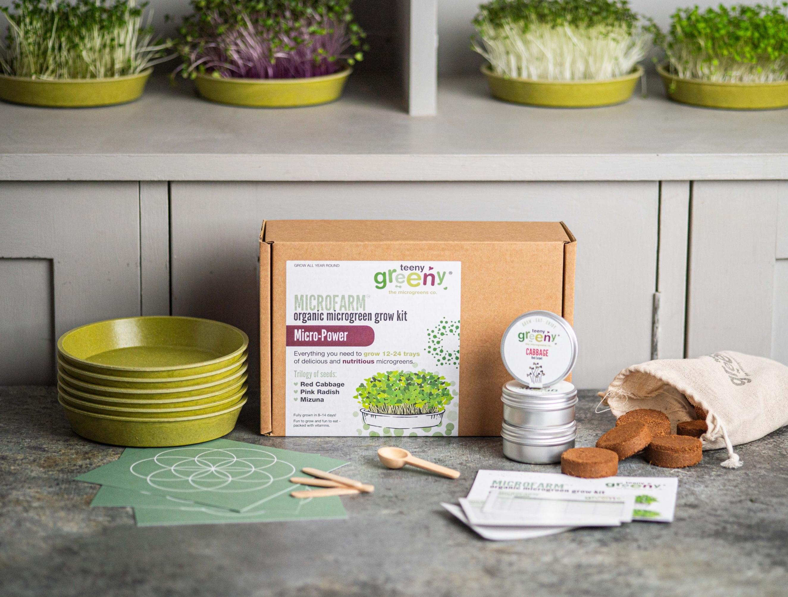 Microfarm Organic Microgreen Grow Kit 'Micro-Power' (Red Cabbage, Pink Radish, Mizuna)
