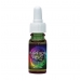 Rainbow Essence (Stock Bottle) 10ml