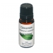 Cinnamon Oil 10ml