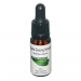 Product - Organic Evening Primrose Pure Seed Oil 10ml