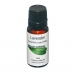 Lavender Pure Essential Oil 10ml