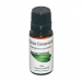 Rose Geranium Pure Essential Oil 10ml