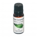 Rose Geranium 10ml