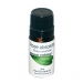 Rose Absolute Pure Essential Oil 2ml