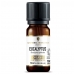 Eucalyptus Organic Pure Essential Oil 10ml