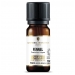 Fennel Organic Pure Essential Oil 10ml