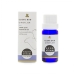 Clove Bud 10ml