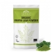 Product - Organic Papaya Leaf Powder 100g