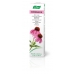 Echinacea Skin Cream 35g