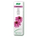 Echinacea Toothpaste 100g