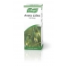 Avena Sativa Oat Drops 50ml