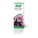 Centaurium Centaury Drops 50ml