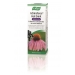 Echinaforce Hot Drink Cold & Flu 100ml