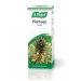 Plantago Drops 50ml