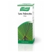 Saw Palmetto Drops 50ml