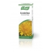 Dandelion Taraxacum Drops 50ml
