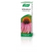 Product - Echinaforce Echinacea Drops 15ml