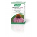 Echinaforce Forte Cold & Flu Tablets 40's