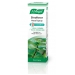 Sinuforce Nasal Spray + Menthol 20ml