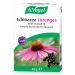 Echinacea Blackcurrant Flavour Lozenges 40g
