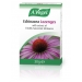 Echinacea Lozenges 30g