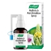 Mullein & Marshmallow Spray 30ml
