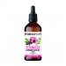 Product - Echinacea Elderberry & Olive Leaf Extract 100ml