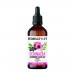 Echinacea Elderberry & Olive Leaf Extract 100ml