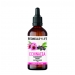 Echinacea Elderberry Extract 100ml