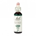Centaury 20ml