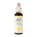 Cerato 20ml