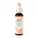 Cherry Plum 20ml