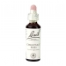 Chestnut Bud 20ml