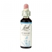 Chicory 20ml