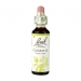Clematis 20ml