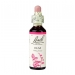 Elm 20ml