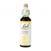 Gorse 20ml
