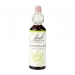 Honeysuckle 20ml
