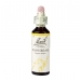 Product - Hornbeam 20ml