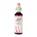 Product - Larch 20ml