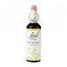 Mustard 20ml