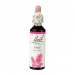 Pine 20ml