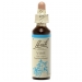 Product - Vine 20ml