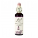 Water Violet 20ml