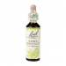 White Chestnut 20ml